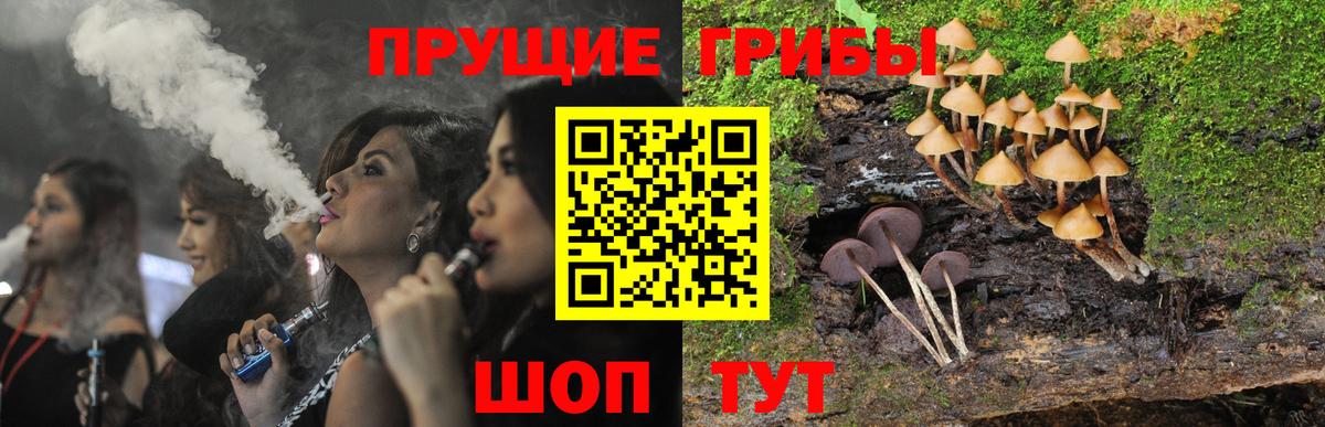 Псилоцибиновые грибы Magic Shrooms Карпинск